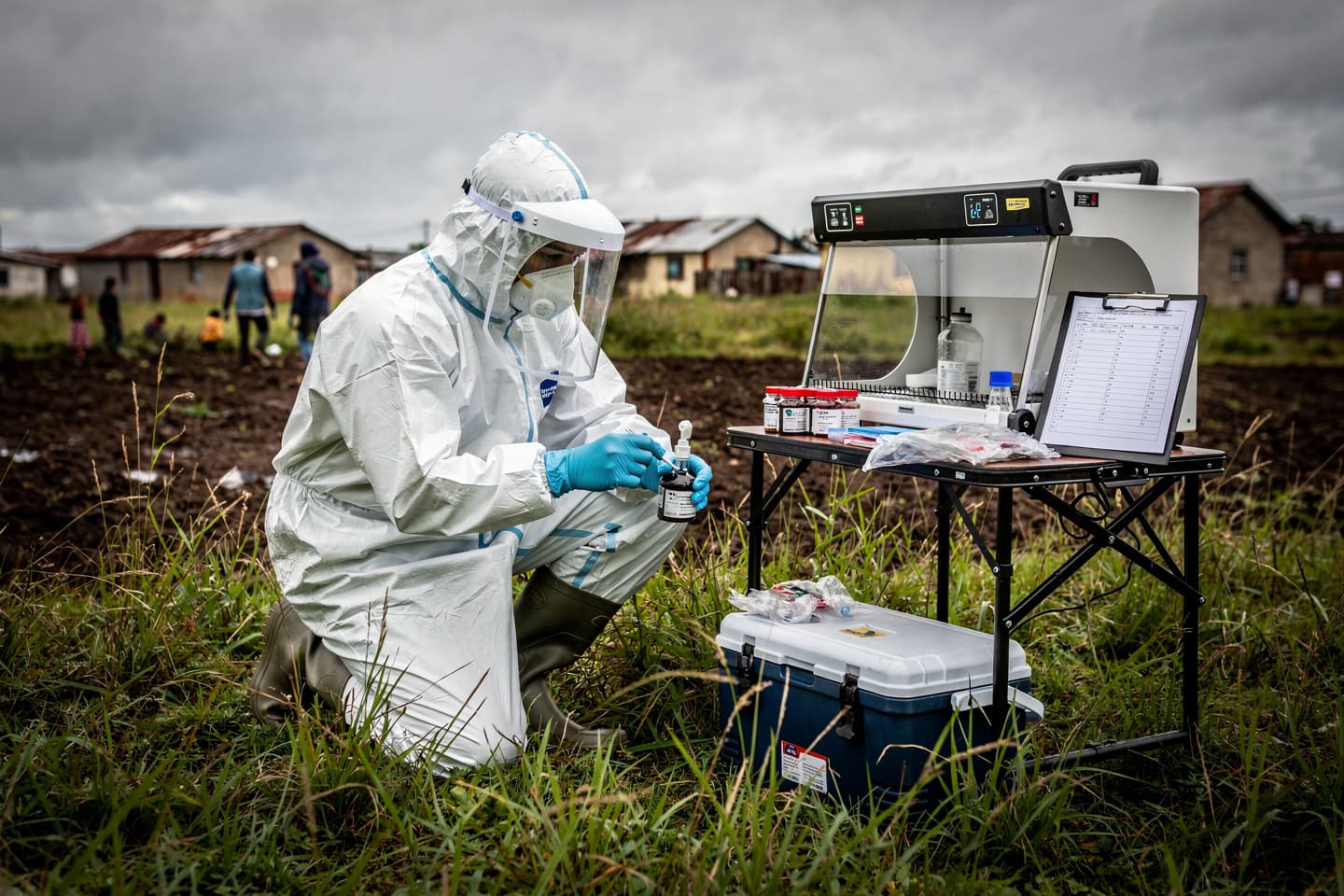 Hantavirus și Ebola: ce ne spun două focare despre pregătirea globală